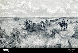 Sugar: The Most Evil Molecule | Science History Institute