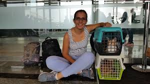 Kedilerim Ucuyor Evcil Hayvanla Seyahat Rehberi Turist Degil Gezgin