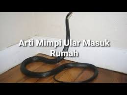 Arti Mimpi Ular Masuk Rumah Menurut Islam Primbon Psikolog Dan Mitos Youtube