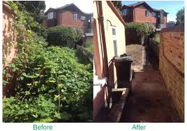 A serious menace has approached the peaceful garden and you must help defend it in garden rescue! Green Aiders Free Garden Rescue Groundwork