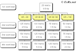 exrx net cycle ergometer test