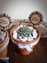 Puedes recibirlo en tu casa, en la oficina o retirarlo. Terrario De Cactus Y Suculentas Centro De Mesa Diseno 340 00 En Mercado Libre Food Mla Matera