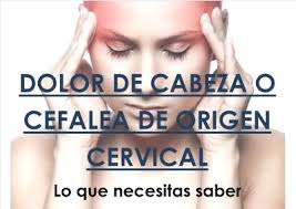 Los humanos tenemos 7 vertebras cervicales, las cuales van a formar nuestro cuello, el cual no va a medir más de 10 cm. Dolor De Cabeza O Cefalea De Origen Cervical Lo Que Necesitas Saber