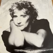 Rod Stewart Very Good (VG) Warner Bros. Vinyl Records for sale