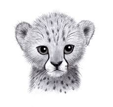 So now take the sand colors shown in the image below to paint the cheetah. Cheetah Drawing Easy How To Draw A Cheetah Step By Step Pictures