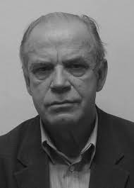 International VLBI Service for Geodesy and Astrometry 2013 Annual Report