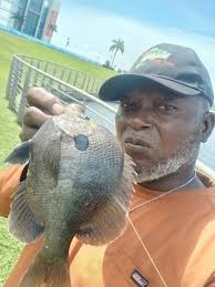 Catching large bluegill in Bradenton Heritage Harbor