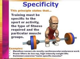 Exercise Principles Printable Display Signs Health Physical Education Exercise Workouts For Swimmers