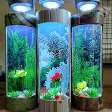 Gratis ongkir s.d 10.000 garansi bila pecah/tidak sampai tujuan uang kembali 100%. Aquarium Mini Ikan Cupang Unik Murah Elevenia