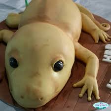 Check spelling or type a new query. Cicak Cicak Di Dinding Yea It S A Cake That He Won Flickr