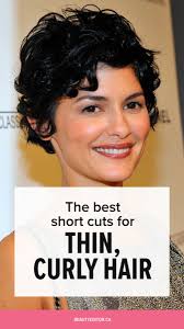 Also, thanks to layered cutting and the versatile length, you can reduce the maintenance time to a bare. Short Curly Hairstyles For Women With Thin Hair Novocom Top