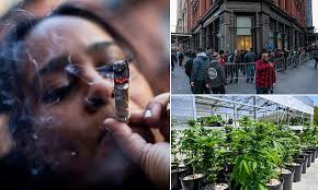 Officials say more than 2.7 million New Yorkers consume marijuana at least  once a month