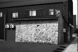 Image result for Delta 100