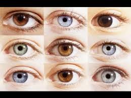 Baby Eye Color What Determines The Change In Eye Colour