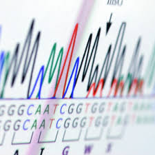 Image result for Number Needed to Screen