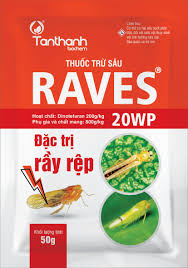 Raves 20WP