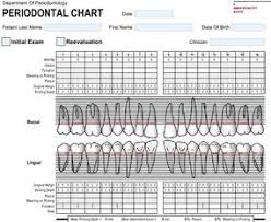 perio charting bismi margarethaydon com