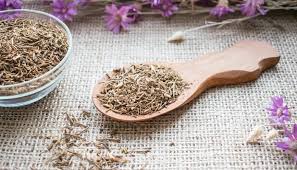 Ayurvedic concept of nerve disorders. 7 Herbs For Nervous System Health See The Best Herbs Here