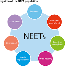 The acronym neet originated in the united kingdom in 1999 (likely as a more 'politically correct' term, to replace the previous designation of 'status zero') and has spread to other countries since then, including the united states. Exploring The Diversity Of Neets Semantic Scholar