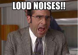 LOUD NOISES!! - LOUD NOISES101 | Meme Generator