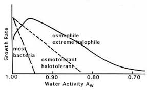 Nutrition And Growth Of Bacteria