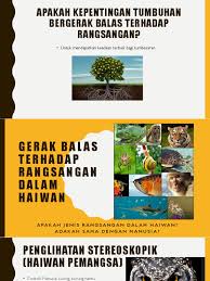 Gerak balas tumbuhan sains kssm ting.3: Gerak Balas Terhadap Rangsangan Dalam Haiwan