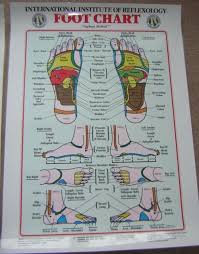 Reflexology Wall Posters Charts In Bearsted Kent Gumtree