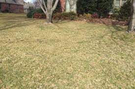 Watch out for falling leaves. Watering Lawns In Fall And Winter The Woodlands Water Agency