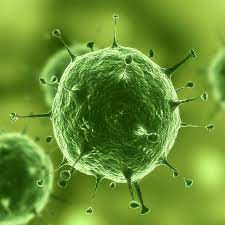 Adenovirus is a type of virus that can cause a variety of illnesses such as upper and lower respiratory infections outbreaks of adenovirus have become more common. Human Adenovirus B7 Severe Infection 2016 07 20 Ahc Media Continuing Medical Education Publishing