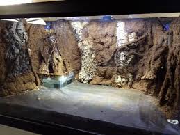 Paludarium Diy Google Search