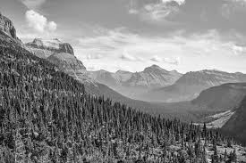 Joe Vale Photography