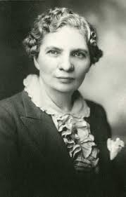 The Politics of Seat Reductions The Politics of Seat Reductions