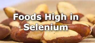 top 10 foods highest in selenium