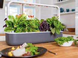 At $799 and $299, the. Click Grow Indoor Smart Garden 2020 Review With Photos