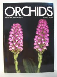 Top picture courtesy of the american orchid society. Orchids The Bulletin Of The American Orchid Society Vol 82 No 6 June 2013 T J Hartung Amazon Com Books