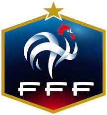 Es ist allgemein bekannt, dass ich mich für fußball interessiere und auch selbst spiele. 100 Jahre Alt Vollstandige Frankreich Fff Logo Geschichte Nur Fussball