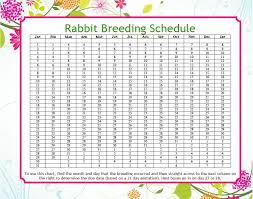 Rabbit Due Date Calculator Rabbit Breeds Meat Rabbits
