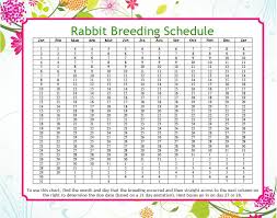 rabbit due date calculator rabbit breeds meat rabbits