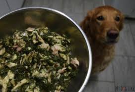 When it comes to making a homemade 20 ideas for homemade diabetic dog food recipes, this recipes is always a preferred New Year New You Learning How To Make Your Own Dog Food Home Cooked Dog Food Ketogenic Diet For Dogs Diabetic Dog Food