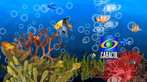 Caracol en vivo hd canal en directo, señal en alta definición gratis por internet live stream online las 24 horas con programación variada en linea. Remake Cierre De Transmisiones Caracol Tv 2002 2006 Youtube