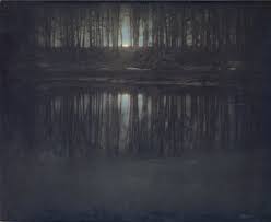 Do not enter the pond if you or anyone you have been around (including family or friends) has been sick you are not required to enter the pond. The Pond Moonlight Wikipedia