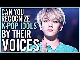 Guess Kpop Idols By Their Voices Kpop Idol Kpop Idol