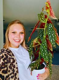 Image result for Begonia