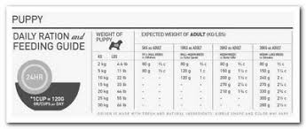 English Mastiff Feeding Chart Goldenacresdogs Com