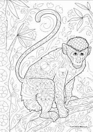 Coloring is a fantastic activity for little monkeys and humans. Monkey Colouring Pages