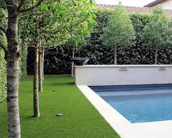 Whether St Augustine Zoysia Bermuda Or Artificial Grass Is Best Depends On A Lot Of Factors Most Importantly Shad Backyard Trees Artificial Grass Backyard