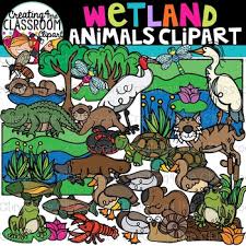 Maybe you would like to learn more about one of these? Wetland Animals Clipart Wetlands Clipart By Creating4 The Classroom