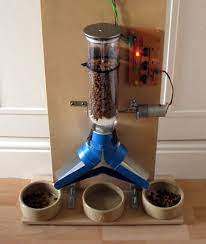 This cat feeder will be triggered by email. Pin On For The Home