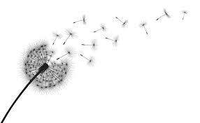 Dandelion Flower And Seeds Vector Art Illustration Vector Art Illustration Vector Art Dandelion