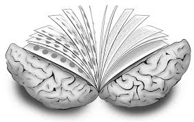 Image result for educatie